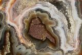 Polished Banded Fortification Agate Section - Turkey #336244-1